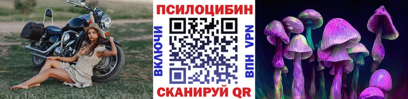 Псилоцибиновые грибы прущие грибы  Амурск 